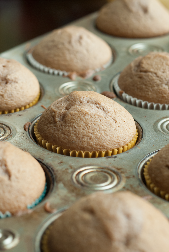 A close up view of a muffin tin with paper liners and fully backed spiced apple cupcakes without frosting.