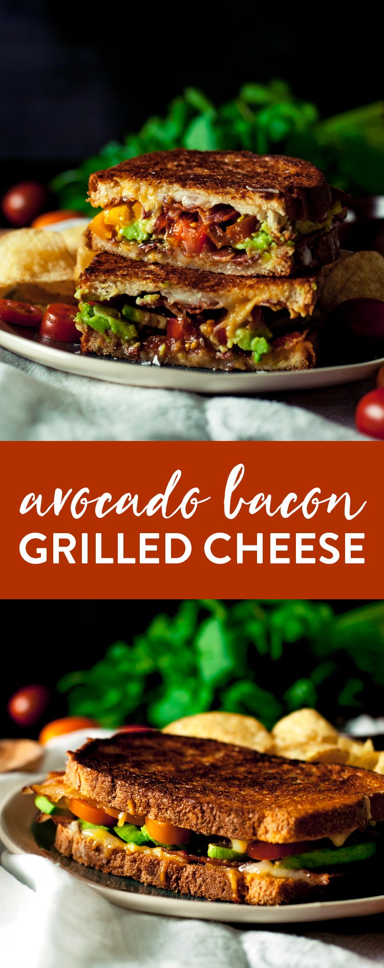 Get your bacon noms on with this super simple and super delicious Avocado Bacon Grilled Cheese sandwich! Ready to eat in under 15! | asimplepantry.com