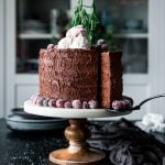 straight-forward view of a chocolate cake on a cake stand with a tree stump design, surrounded by sugared cranberries, with sugared cranberries on top and rosemary sprigs acting as trees.